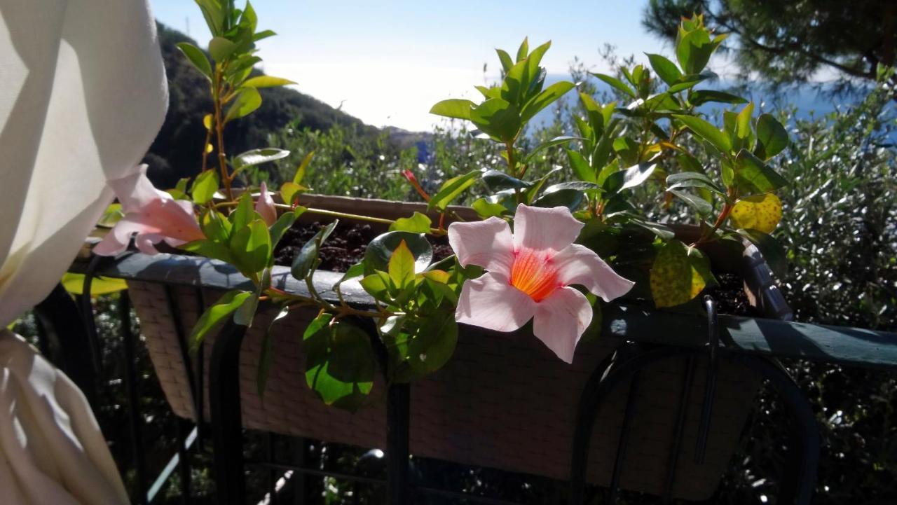 La Casa Dei Limoni Bed & Breakfast Genoa Ngoại thất bức ảnh